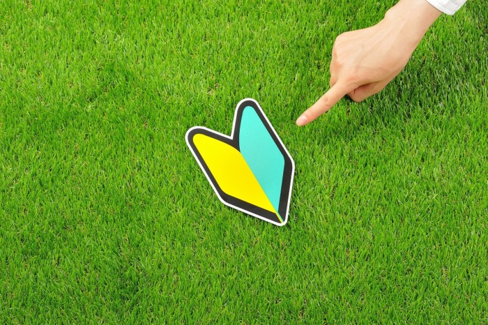 芝生と初心者マーク